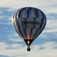 Harcourts Hamilton